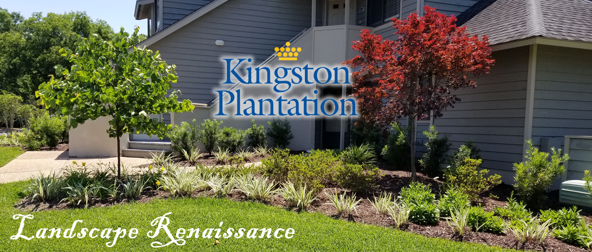 Kingston Plantation